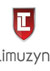 Projekt logo TwojaLimuzyna.com
